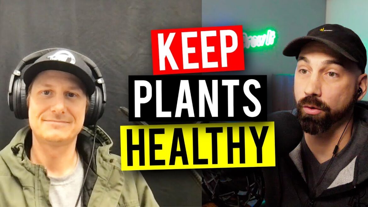 Soil Amendments To Improve Your Garden! (Garden Talk #107) Soil Amendments To Improve Your Garden! (Garden Talk #107)