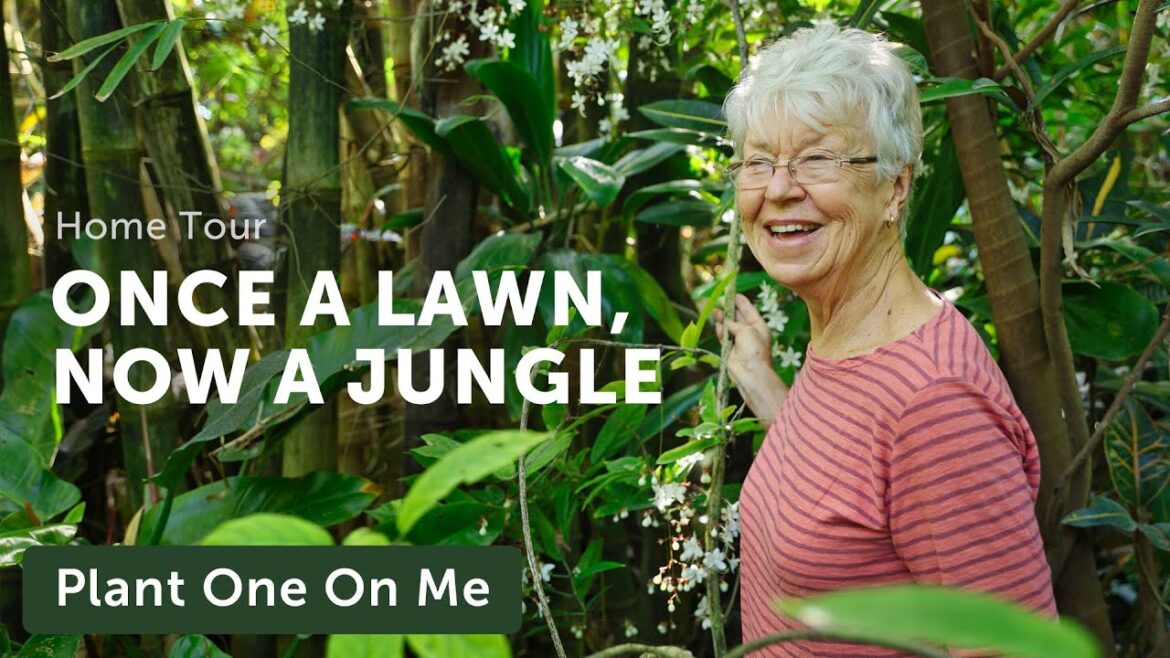 Tour Marie Nock's BACKYARD JUNGLE — Ep. 310
