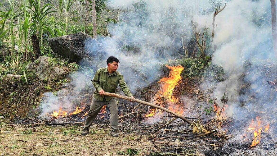 Animal Care, Traditional Vegetable Gardening, Daily Life,Lý Tòn Sinh – episode 4 Animal Care, Traditional Vegetable Gardening, Daily Life,Lý Tòn Sinh - episode 4