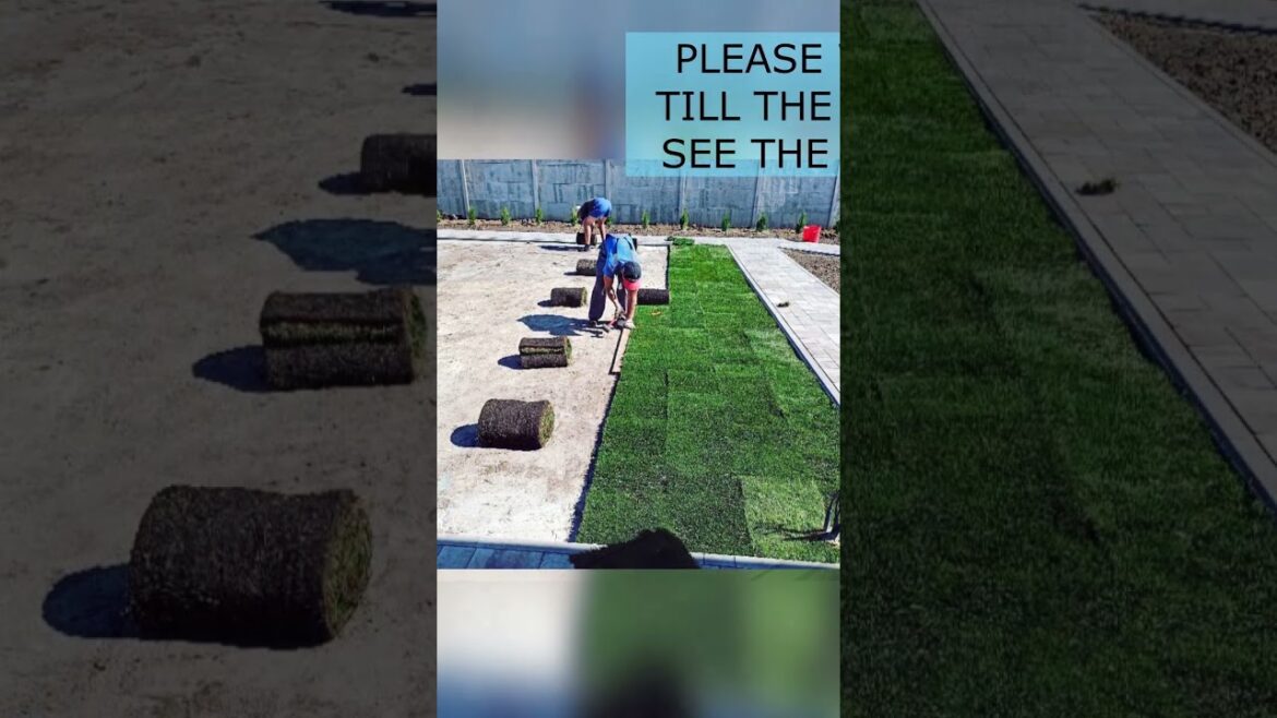 FRONT YARD MAKEOVER before after #shorts