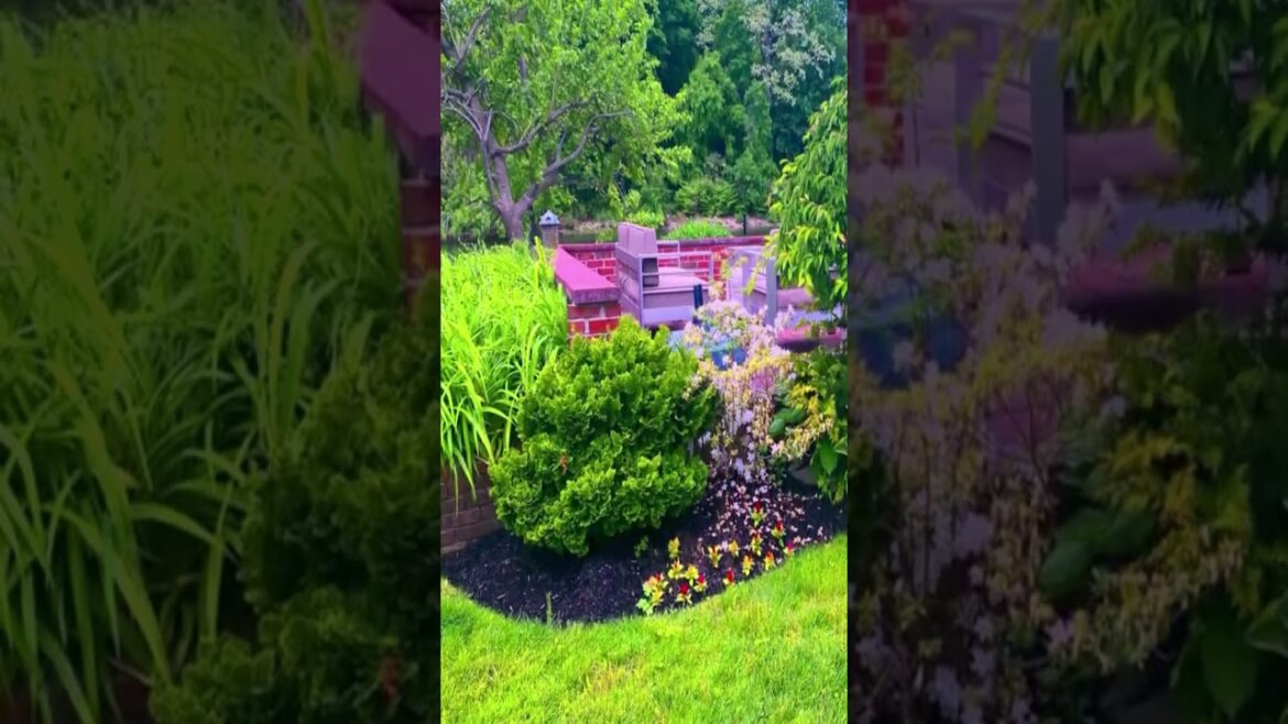 Backyard Planting Ideas and Lighting Effects to Brighten Your Night