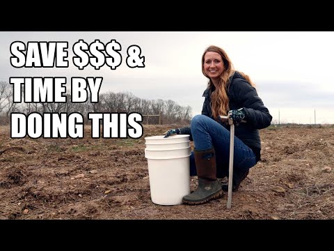 The Most Underutilized Step to GARDEN SUCCESS The Most Underutilized Step to GARDEN SUCCESS