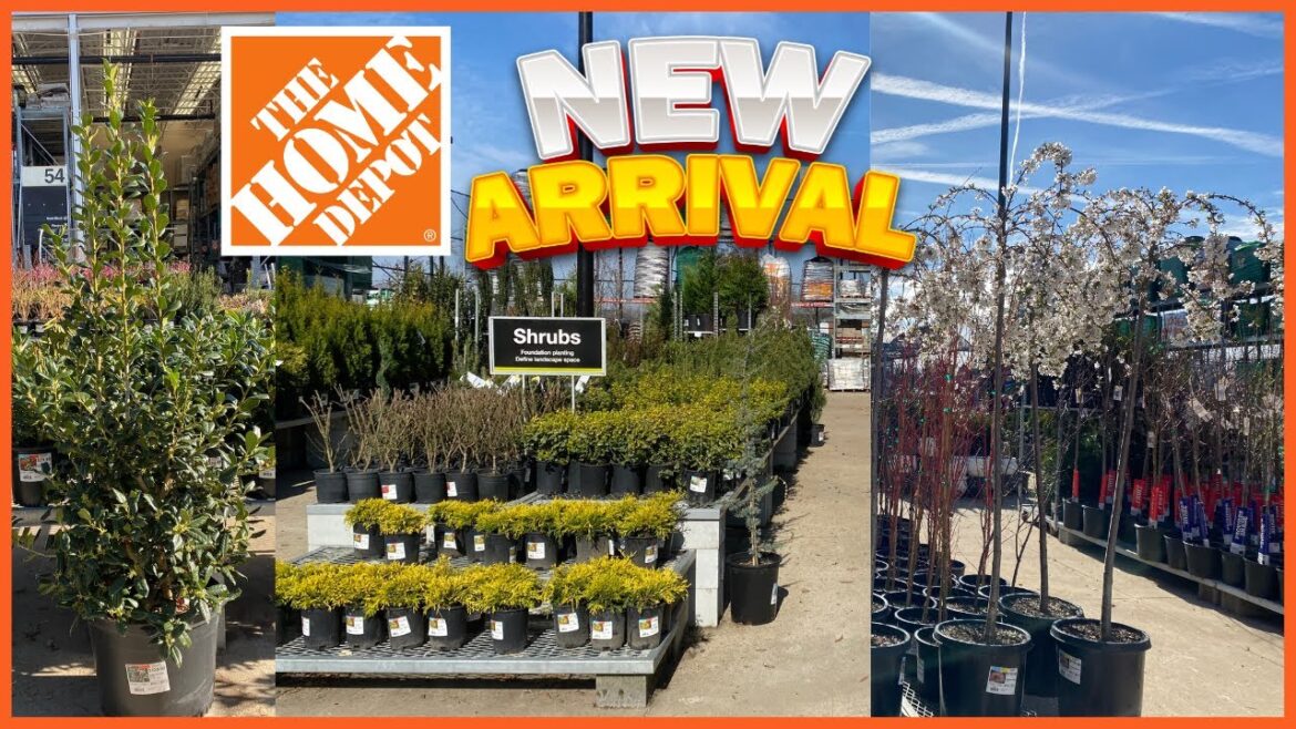 🌺 HOME DEPOT INVENTORY MARCH 2023 | WEEPING FLOWERING TREES | AZALEAS | JP MAPLE TREES 🌼