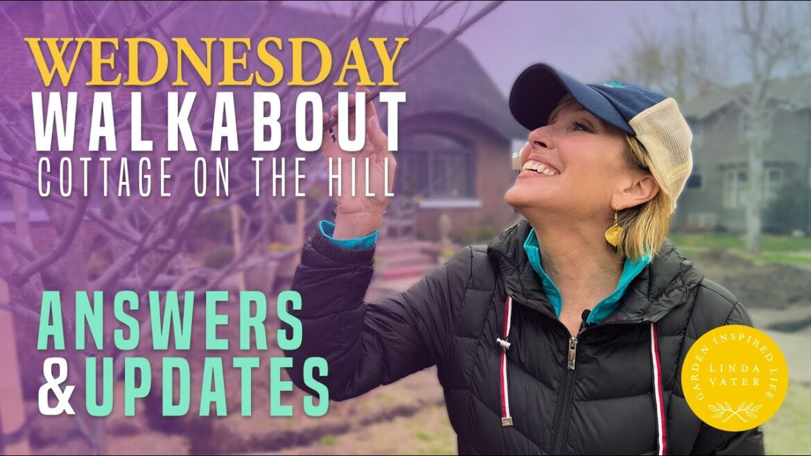 Cottage on the Hill Garden Design Updates