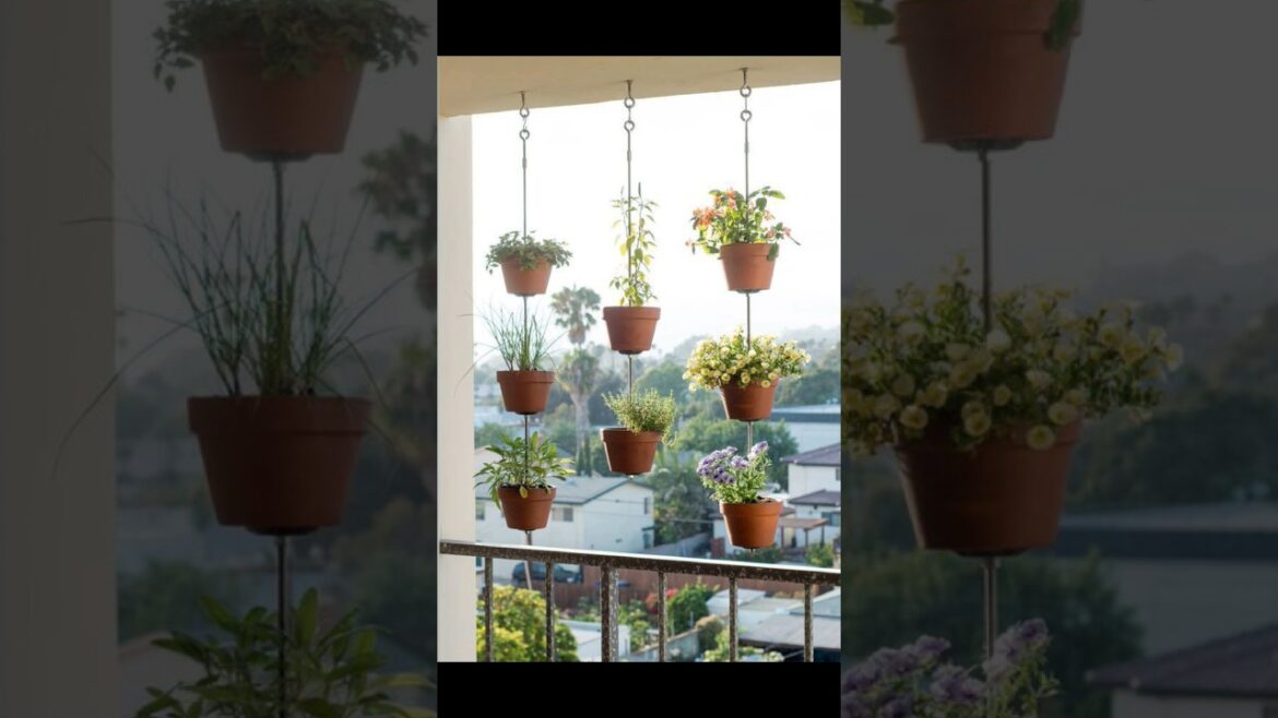 Balcony Garden Design Ideas Part 2 #balconygarden #niteshmeenaplants  #balconyplants #shorts