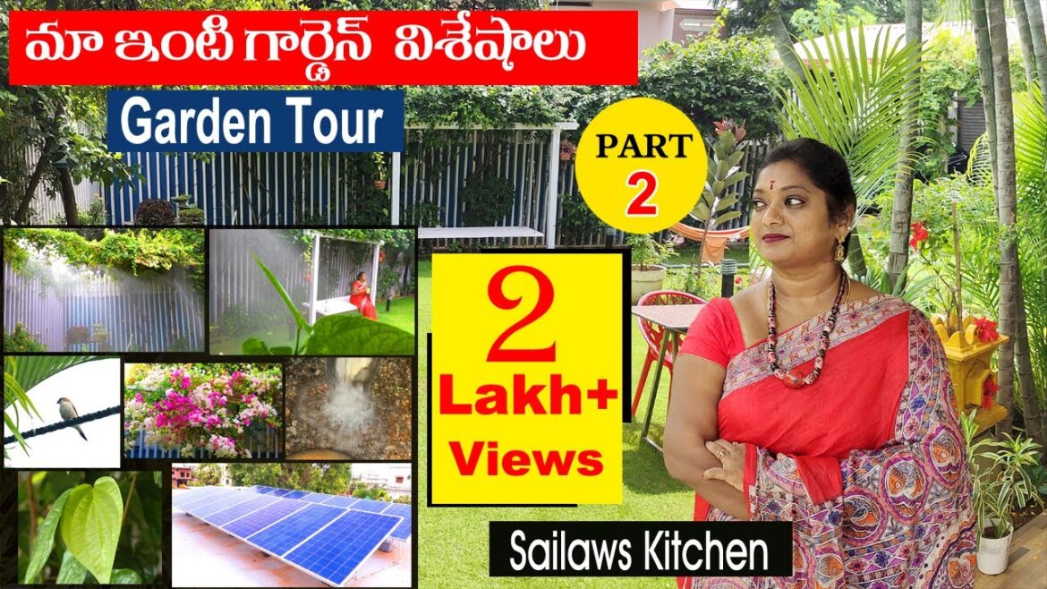 మా గార్డెన్ టూర్ – 2 | Sailaws Kitchen Garden Tour – Part 2 | Garden Tips & Tricks మా గార్డెన్ టూర్ - 2 | Sailaws Kitchen Garden Tour - Part 2 | Garden Tips & Tricks