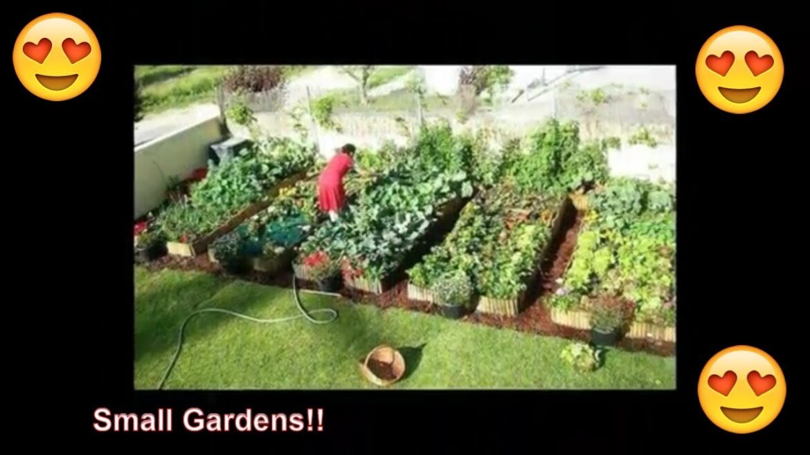 20 Small Garden Ideas on a Budget for Vegetables 20 Small Garden Ideas on a Budget for Vegetables
