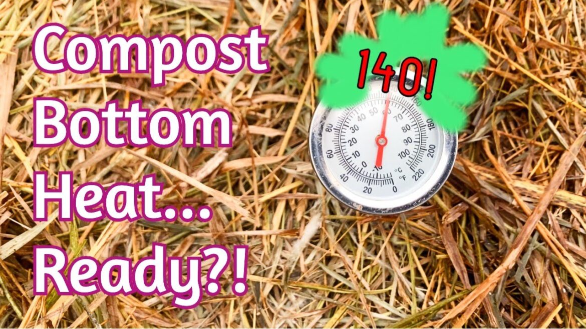 Late Winter Update – Compost heat, shipping, bamboo experiment and more Late Winter Update - Compost heat, shipping, bamboo experiment and more