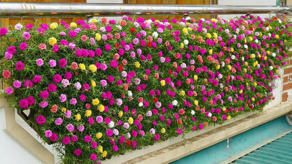 Creative Balcony Garden, Turn Your Balcony Into A Beautiful Garden With Plastic Bottles