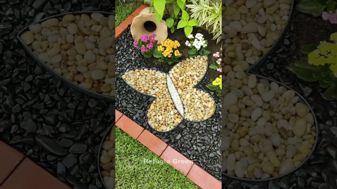 Jardim com borboleta!🦋#shorts