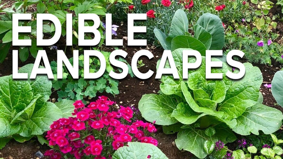 Edible Landscaping! Growing Vegetables in Your Flower Bed