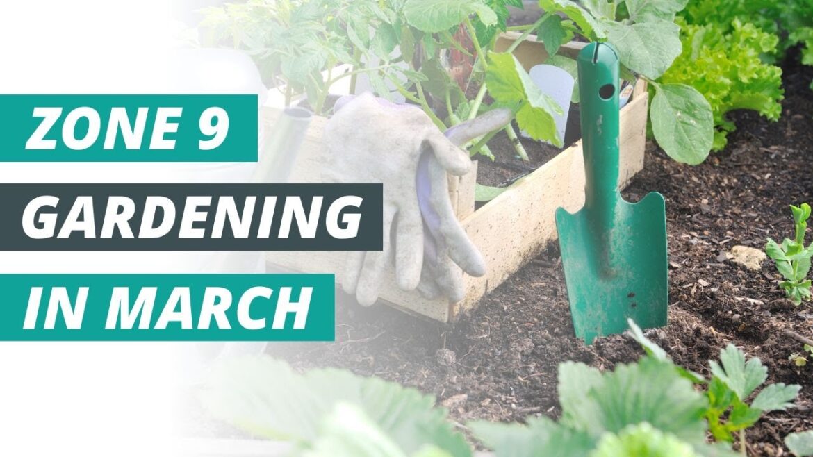 March gardening tips & tasks for zone 9 gardeners!