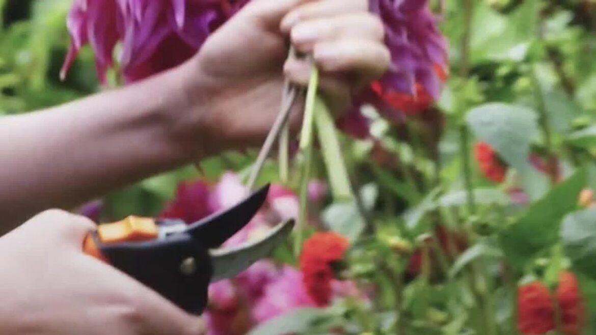 How Flora Soames’ Picking Garden Inspires Her Fabrics How Flora Soames' Picking Garden Inspires Her Fabrics