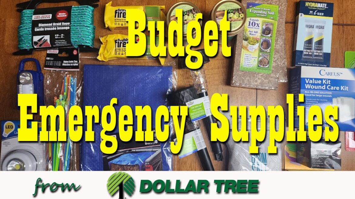 $25 Budget Emergency Supplies from Dollar Tree ~ Preparedness $25 Budget Emergency Supplies from Dollar Tree ~ Preparedness