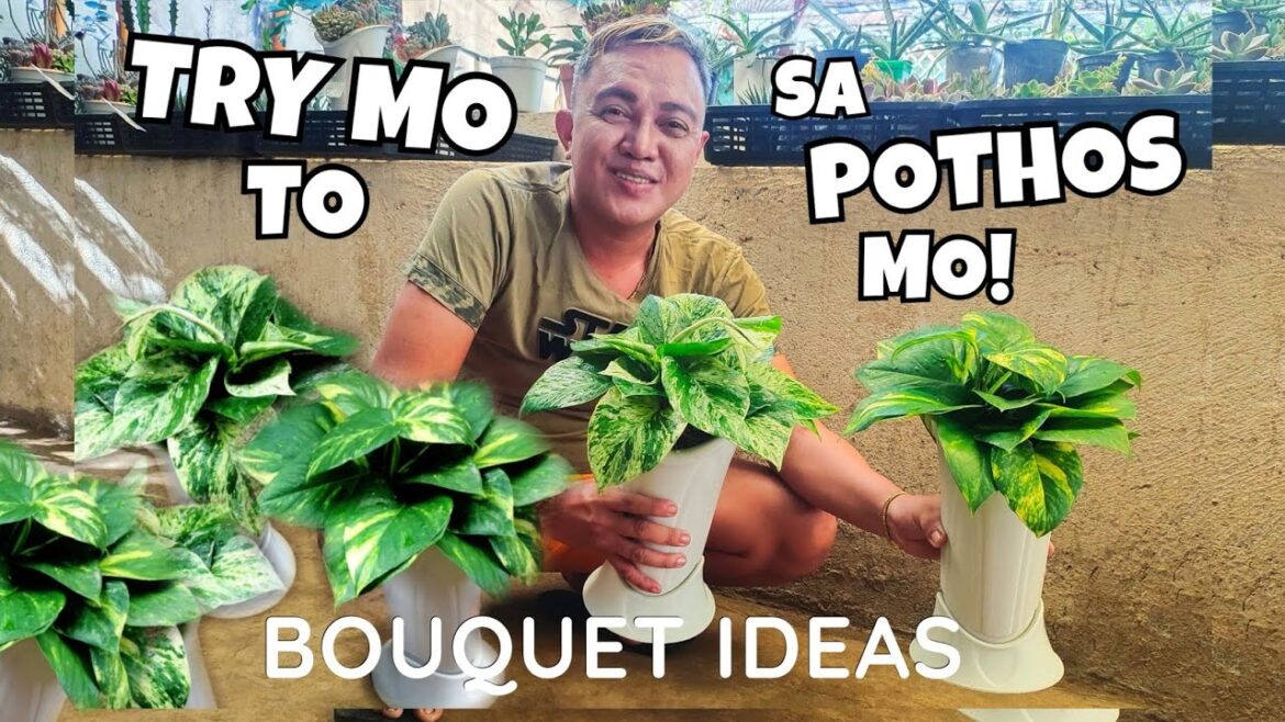 BOUQUET ARRANGEMENT IDEAS FOR POTHOS | CREATIVE WAY OF GROWING MONEY PLANTS