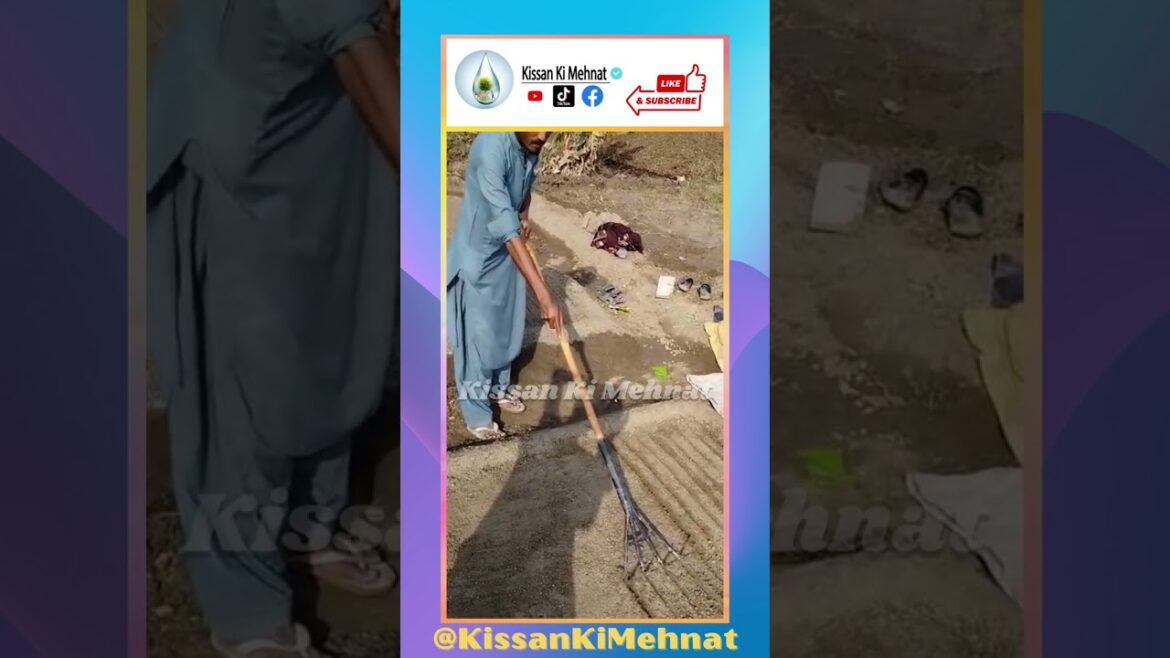 Hand Pulling Plow | Agriculture Tool | Gardening Tool | Agri Tools