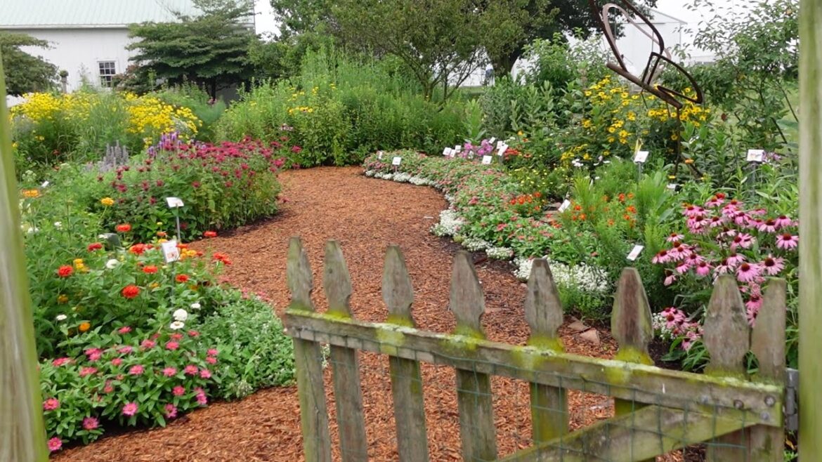 Garden Ideas and Tour of the Penn State Research Farm and Flower Trials // Northlawn Flower Farm