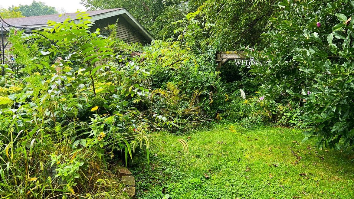 Elderly Couple STUNNED by Garden Overgrowth, What I Found Will Blow Your Mind!