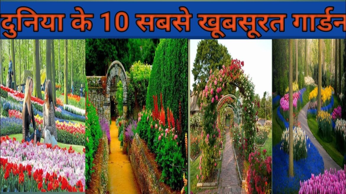 10 Most Beautiful Gardens in the World|| दुनिया के 10 सबसे खूबसूरत गार्डन|| beautiful @haniavoice 10 Most Beautiful Gardens in the World|| दुनिया के 10 सबसे खूबसूरत गार्डन|| beautiful @haniavoice