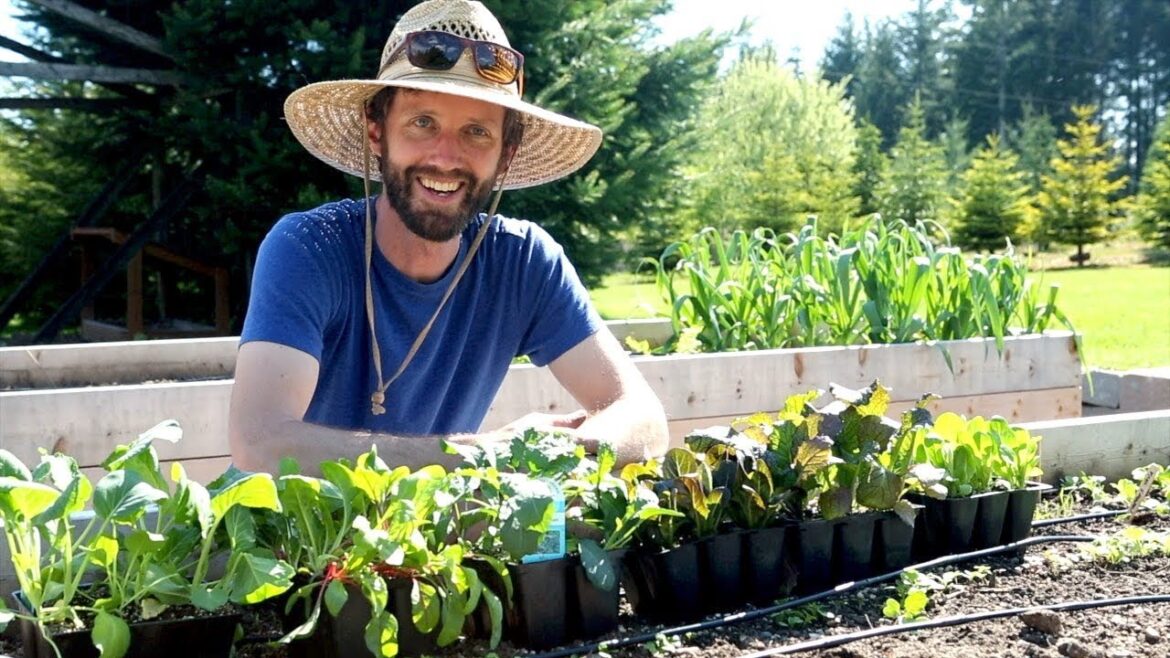 Portland Edible Gardens: Episode 6: LEAFY GREENS - PART I