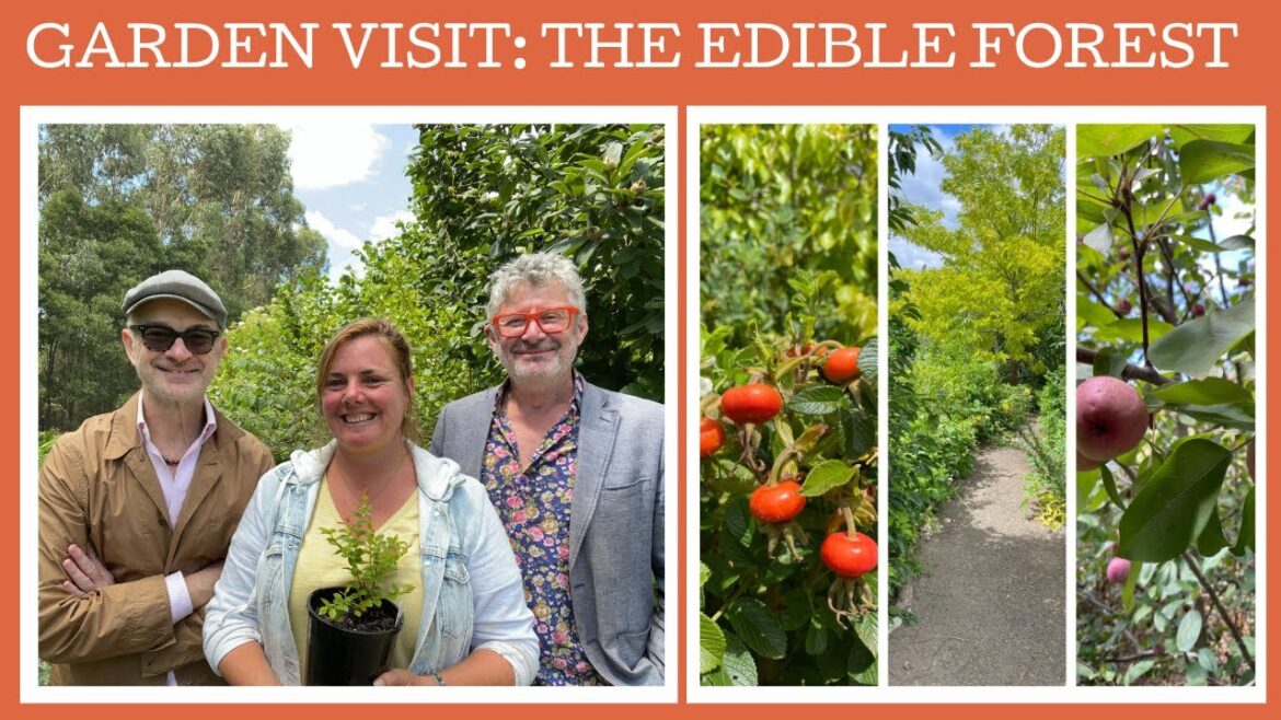 Garden visit: The Edible Forest in the Yarra Valley Garden visit: The Edible Forest in the Yarra Valley