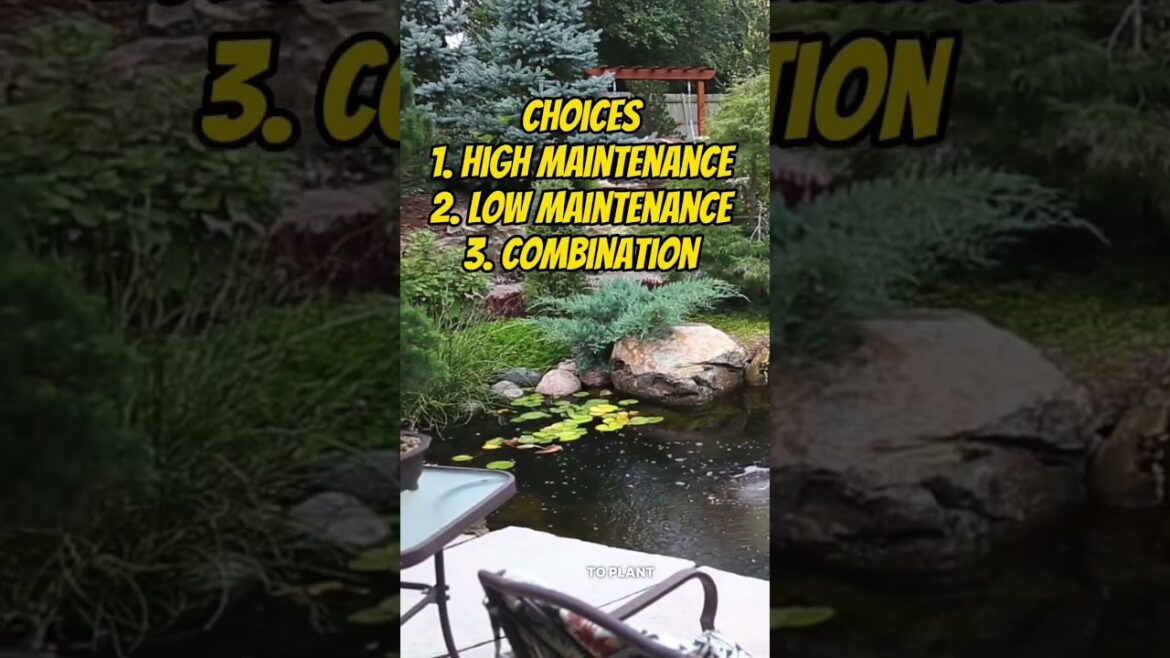 3 Simple Steps to Creating Your Very Own Backyard Oasis!