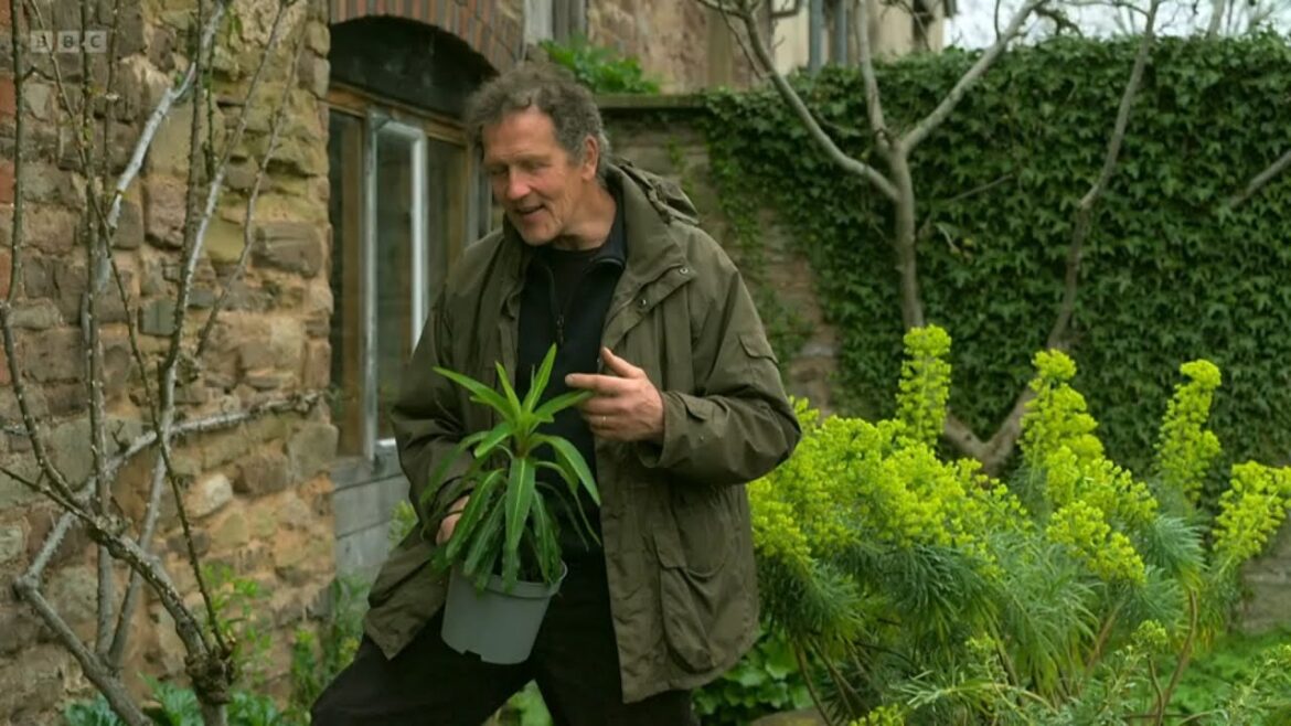 Gardeners' World Compilations 2023🍀 Episode 4