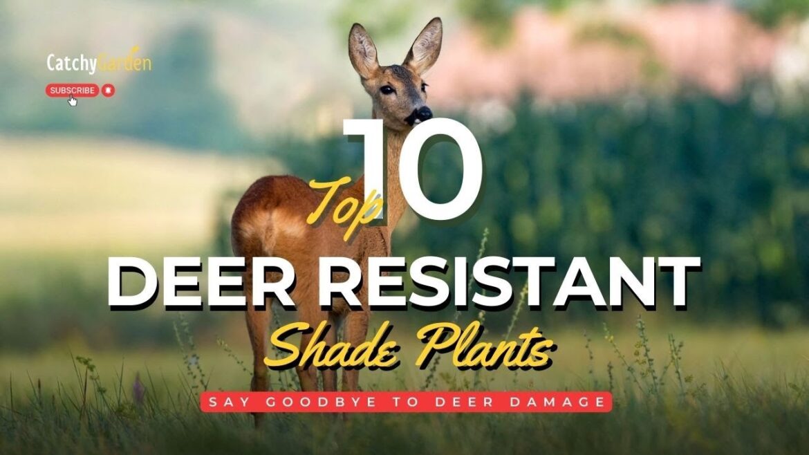 Say Goodbye to Deer Damage: Our Top 10 Resistant Shade Plants ๐ท๐ฆ Say Goodbye to Deer Damage: Our Top 10 Resistant Shade Plants ๐ท๐ฆ