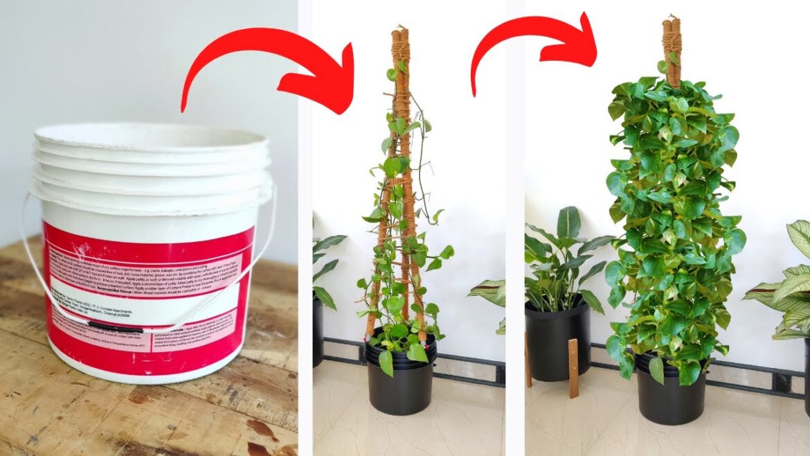 How to make a vertical garden for small space | Garden ideas for small spaces | Indoor garden ideas How to make a vertical garden for small space | Garden ideas for small spaces | Indoor garden ideas