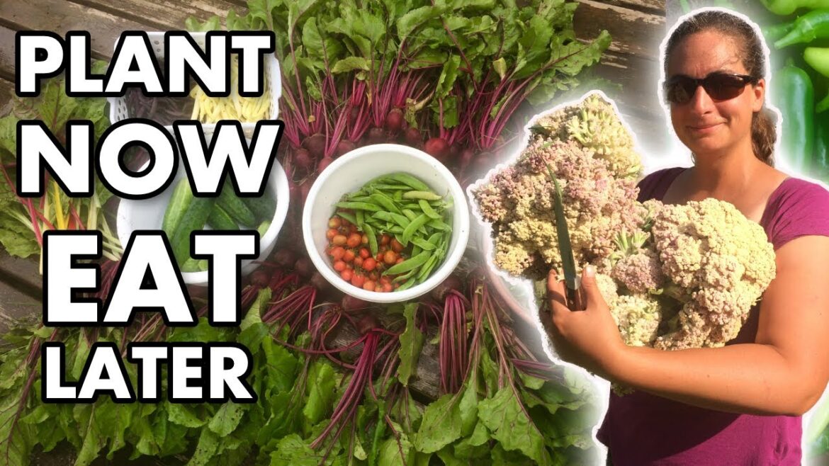 22 Food Crops We Grow A Years Supply Of 22 Food Crops We Grow A Years Supply Of