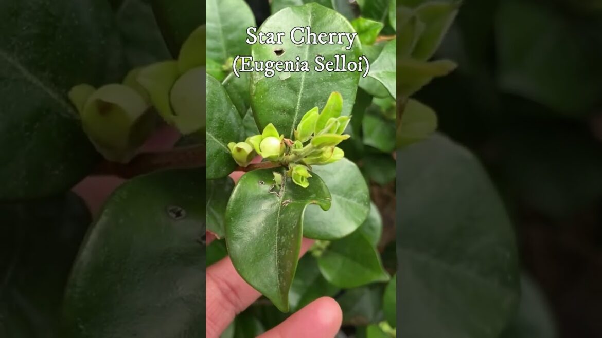 What's Growing In Containers 2.26.23