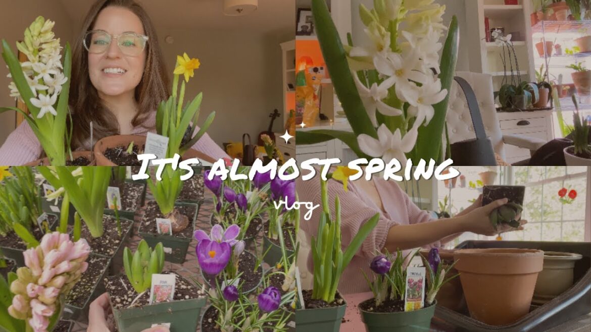Ep 7. It's spring-ish and I have spring fever 🌸 Plant hyacinths with me | cozy planting