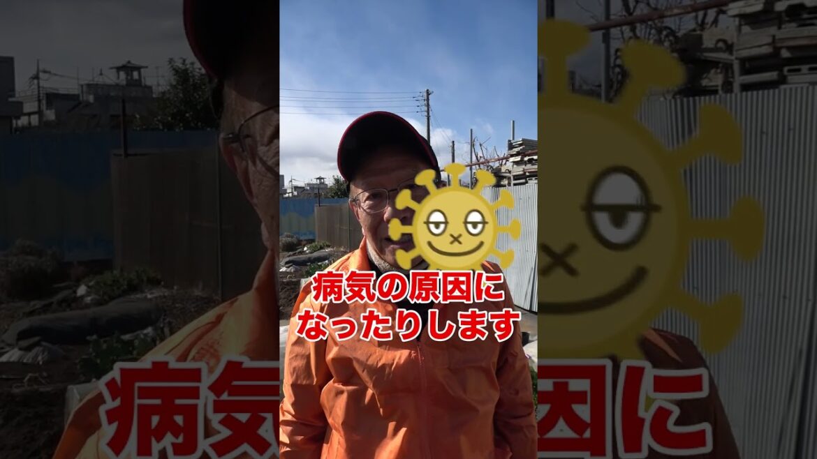 家庭菜園でやりたい!イチゴ栽培で病害虫を予防する葉かき作業のコツ! #shorts / Tips for removing leaves from strawberries. 家庭菜園でやりたい!イチゴ栽培で病害虫を予防する葉かき作業のコツ! #shorts / Tips for removing leaves from strawberries.