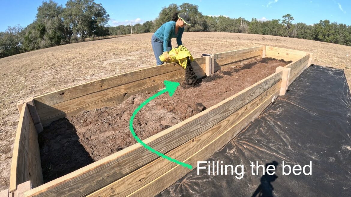 Garden Design, Development & Construction #8