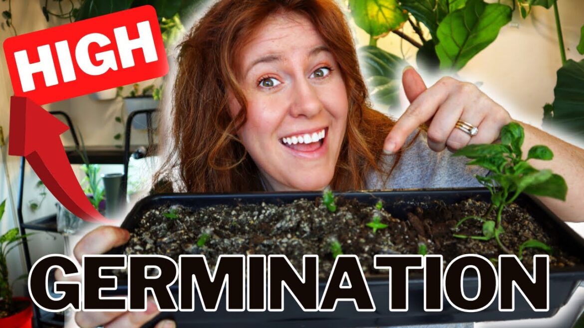 How To Start Garden Seeds At Home. Starting Seeds For Beginners!