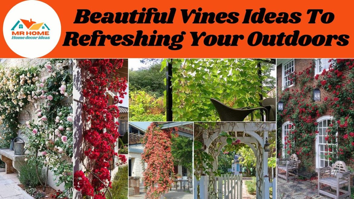 42 Most Beautiful Vines Ideas To welcoming Your Outdoors ๐ก๐ ๐ ๐ก Diy Gardening ideas 42 Most Beautiful Vines Ideas To welcoming Your Outdoors ๐ก๐ ๐ ๐ก Diy Gardening ideas