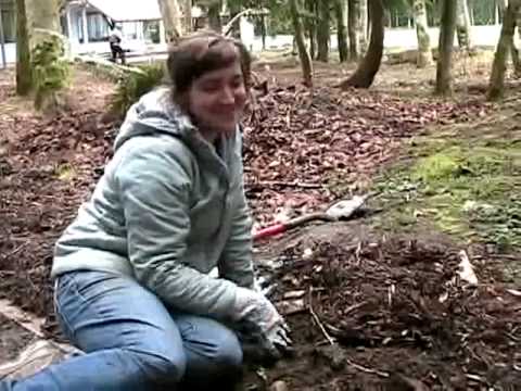 Systems of Change: Edible Forest Gardening part 2 Systems of Change: Edible Forest Gardening part 2