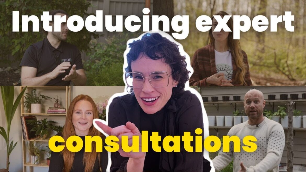 Introducing: Consultations by gardenstead