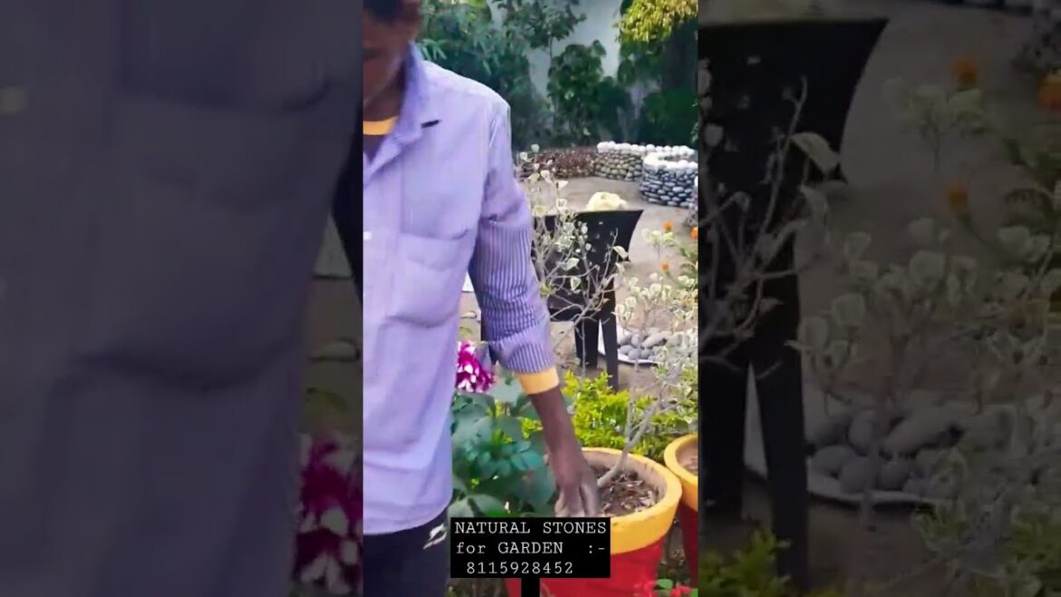 Natural garden Design for garden