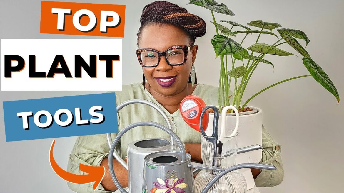 The 10 Indoor Plant Tools You Didn’t Know You Needed Until Now | The Leca Queen The 10 Indoor Plant Tools You Didn't Know You Needed Until Now | The Leca Queen