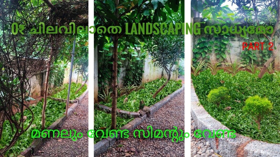 0 budget landscaping | low budget gardening | lawn setting |Malayalam from the nature| garden tour