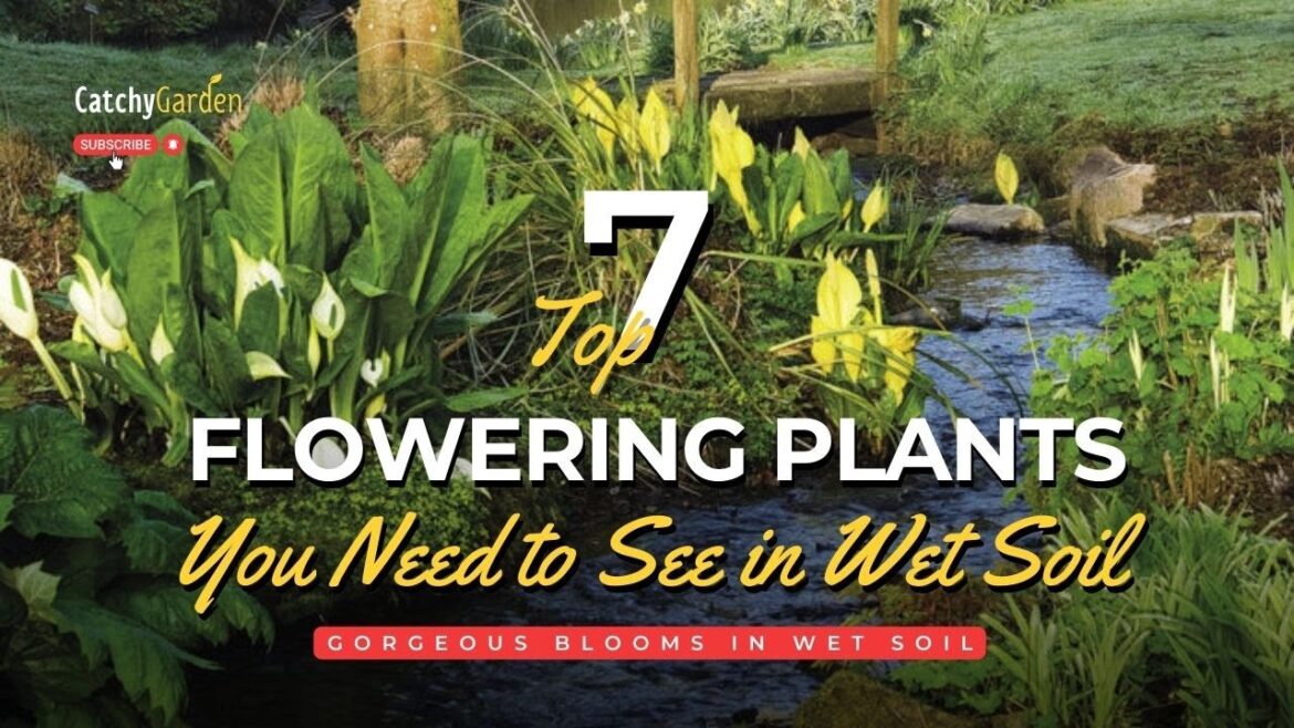Gorgeous Blooms in Wet Soil: 7 Flowering Plants You Need to See πΈπ±π Gorgeous Blooms in Wet Soil: 7 Flowering Plants You Need to See πΈπ±π