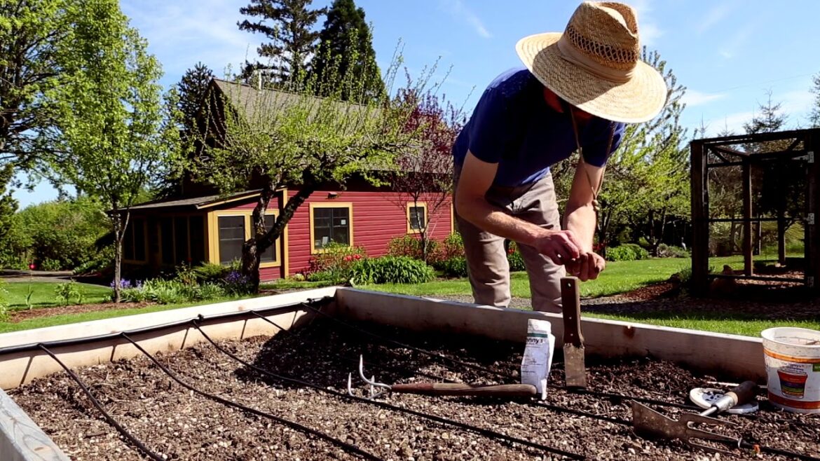 Portland Edible Gardens: Episode 5: DIRECT SOWING