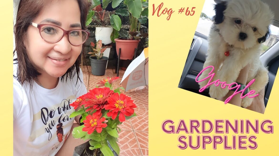 VLOG #65 New Gardening Supplies + Day with Google VLOG #65 New Gardening Supplies + Day with Google