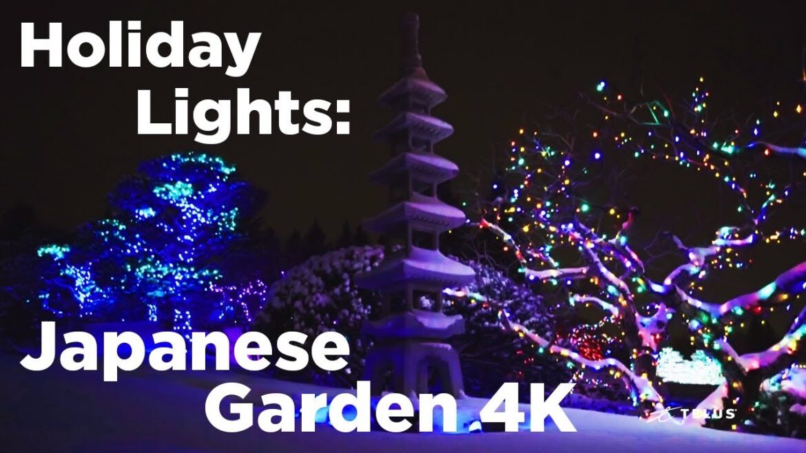 Winter Lights: Japanese Garden
