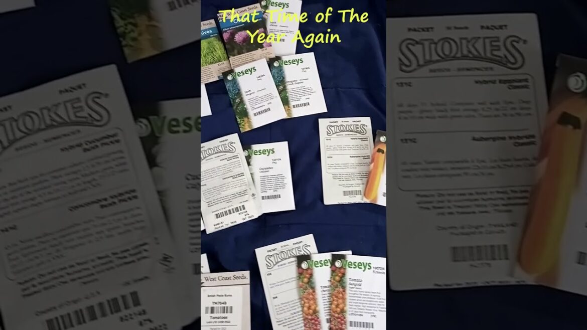 Planting Time is Here! Unveiling 2023’s Must-Have Garden Seeds Planting Time is Here! Unveiling 2023's Must-Have Garden Seeds