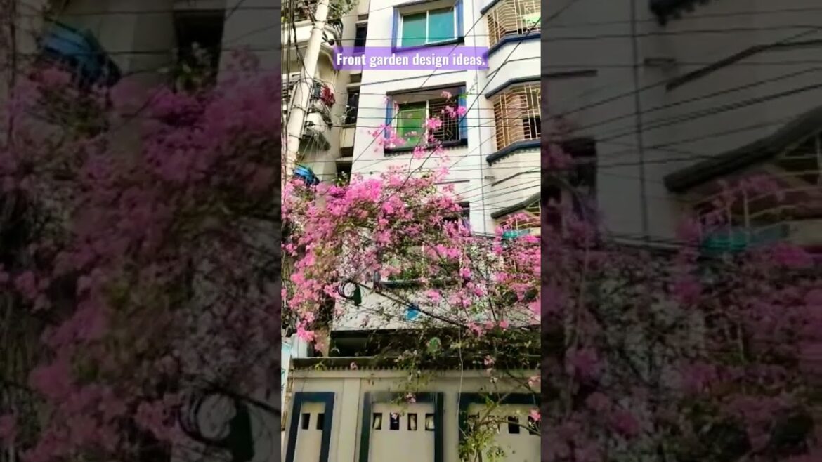 Front garden design ideas. Bugenvaelia flowers tree. #front #gardening #design #ideas #viral. Front garden design ideas. Bugenvaelia flowers tree. #front #gardening #design #ideas #viral.