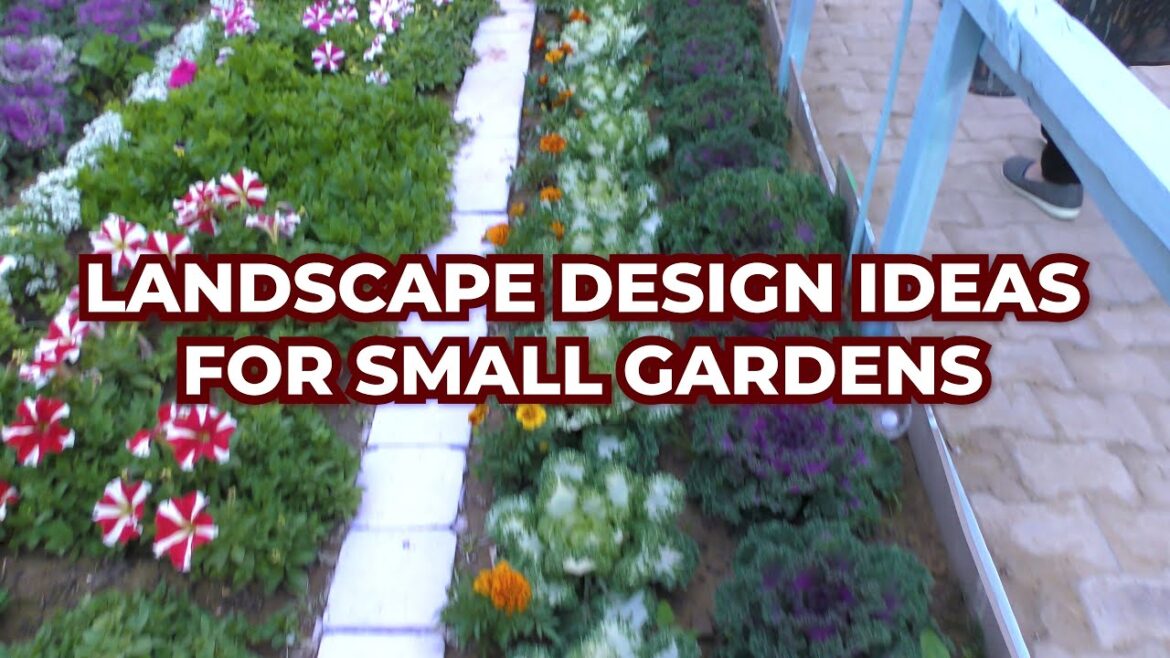 Small Garden, Big Design: Transform Your Space with These Landscape Ideas! | Gardening Ideas