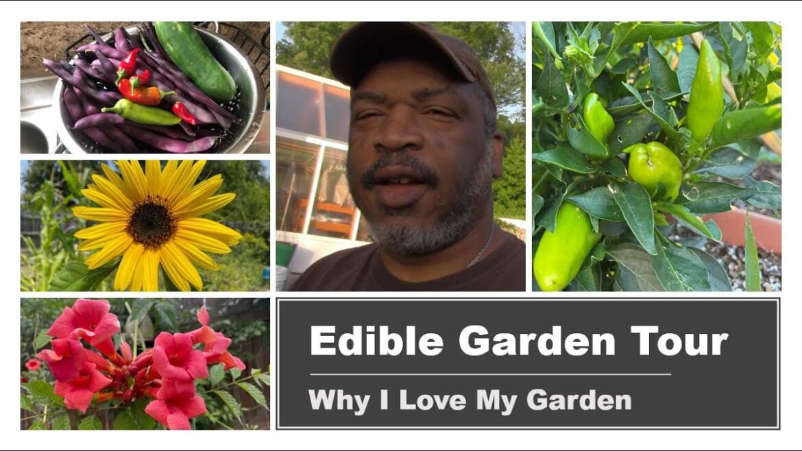 Edible Garden Tour | Why I Love My Garden | #MIG