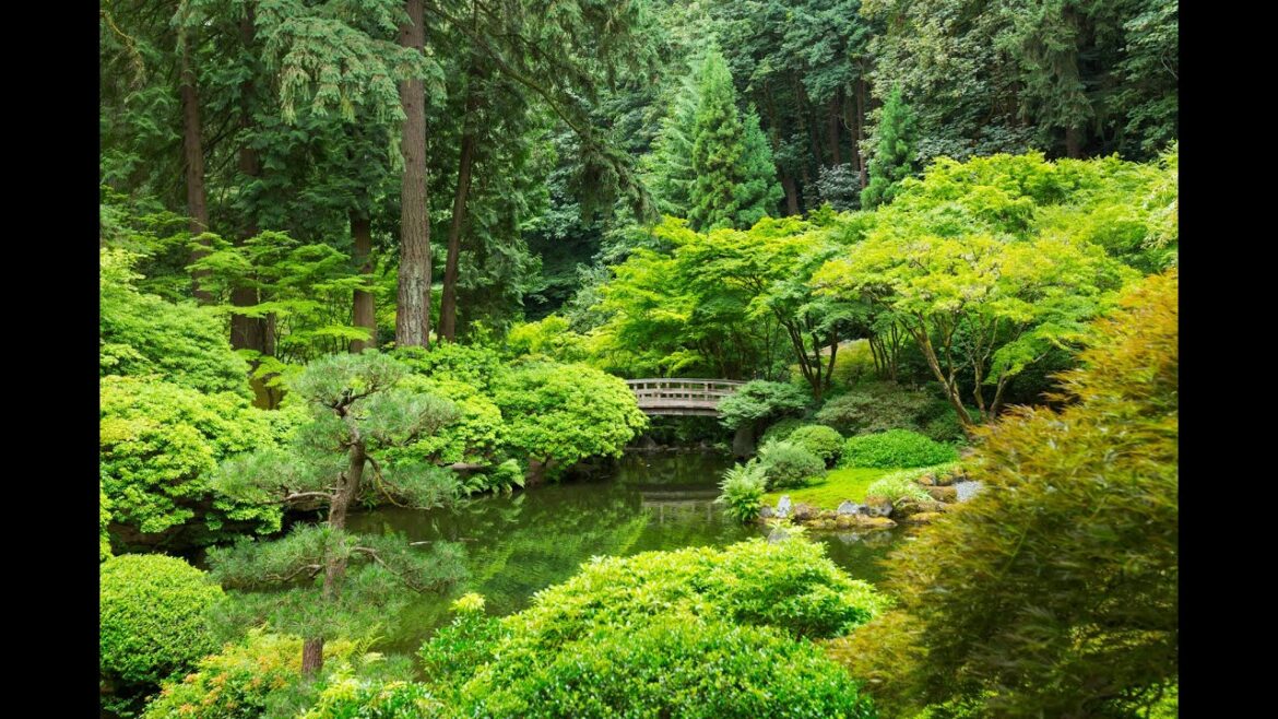 Relaxation Visualization Zen Garden Talk Down: Sleep & Stress Relief Relaxation Visualization Zen Garden Talk Down: Sleep & Stress Relief